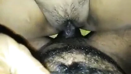 Hindu Hint aunty sikikleri muslim kesme horoz