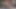 Çarpıcı Götlü Orta Yaşlı Seksi Kadın Çok Şişman Adamla Çıplak Dolaşmayı Seviyor Ve Sonra Onu Sıvazlıyor