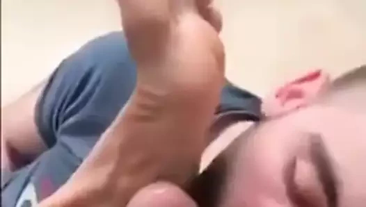 alt at ustalar ayak ve horoz