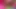 Çift dildo sikişi iki porno yıldızını orgazm ediyor!