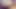 LR Blowjob 7 ( Purple ) - G050.1