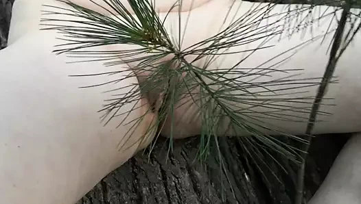 Ormanda baştankara eğitim ve kırbaçlama