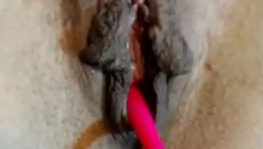 Siyah güzel uzun kedi dudakları