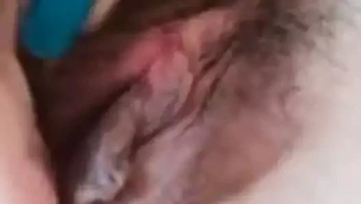 Olgun Asya eş kedi ovmak