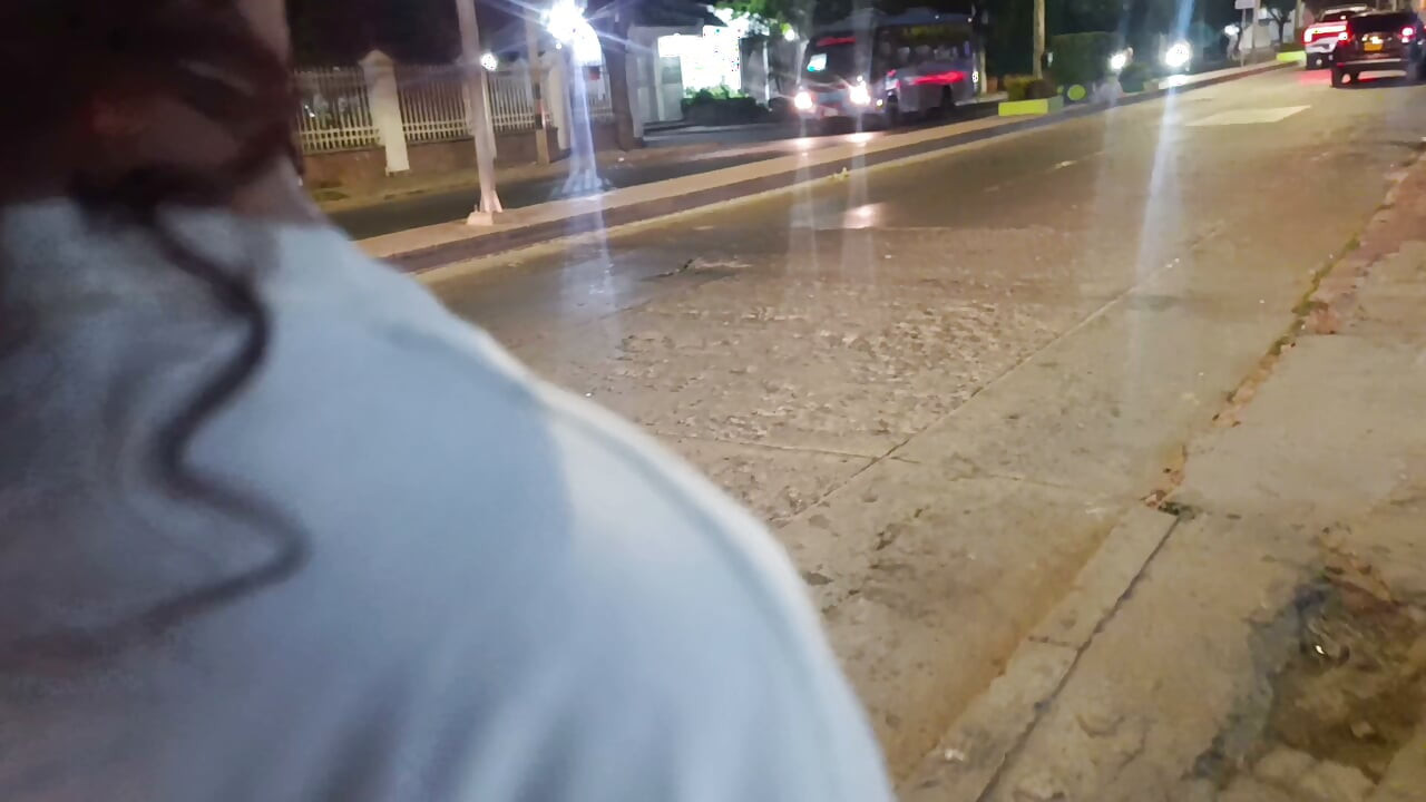 I was on the street and we ended up fucking at my house