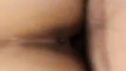 İlk büyük Asya horoz