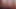 French Pegging - Coquette'in Özel Solosu: Hakaretler, Tükürme ve Strap-On