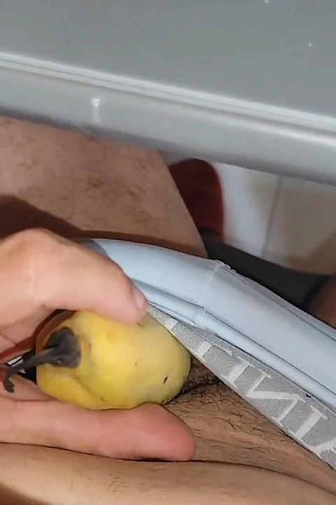 Soyulduğunda Etkileyici Bir Sürpriz.