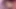 Assploitations - VOL. #05
