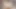 Exotic4k latina yayılır kedi için büyük çük nüfuz