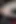 Little Orgy with Full Tattooed MILF Cleo in the Formica Sex Cinema in Iserlohn