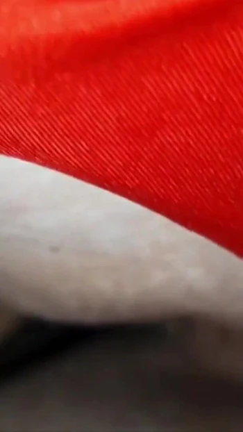 Обязательный для обмена момент из "Она обожает трахаться с ее красными трусиками"