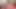 Tombul orta yaşlı seksi kadın Jessica Lust şişman amının doldurulunu istiyor