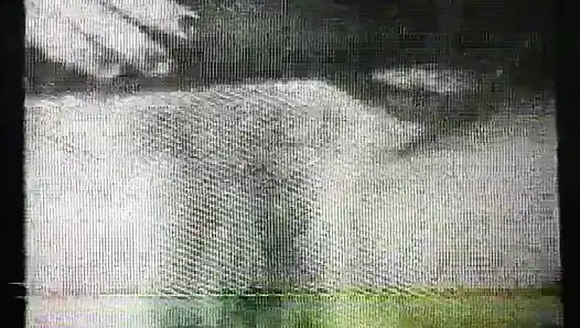 Vahşi sapık orospular