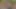 Açık havada tanrıça ibadeti ve kadın kılıklı seks ve aşağılama