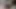 Niki Snow cam dildoya uzanıyor ve hassas kıllı amına kapsamlı, yoğun bir egzersiz yapıyor.