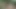 Kadife eş değiştirenler kulübü göl kenarında eş değiştirenler amteur videosunda kaydedildi