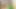 Indian Girl Trades Pussy for Family's Future and Gets Creamed  -AI Generated
