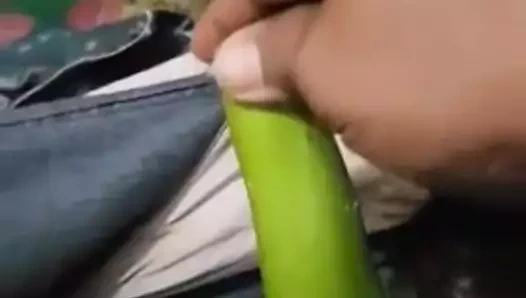 Thonbai Taylandlı olgun