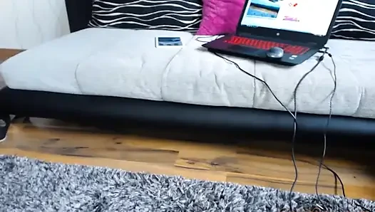 Büyük mavi taşaklar canlı