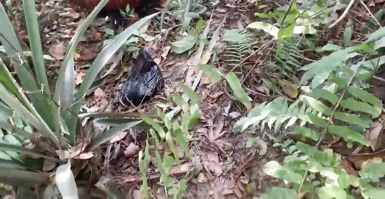 Lütfen beni çok çabuk sik, çünkü köylüler bu çalının içinde peşimizde