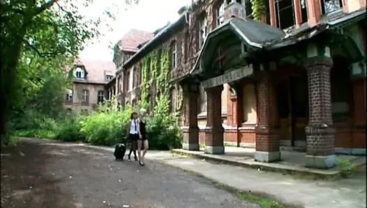 Demu tigung der heilanstalt'ta (tam film)