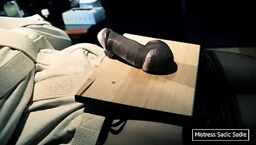 İlk Kez Topları ve İğneyi Meşe Palamudunuzdan Çiviliyorsun.