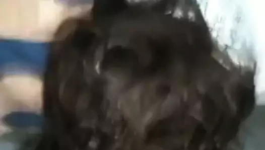 Baba kahrolası anne itibaren arka