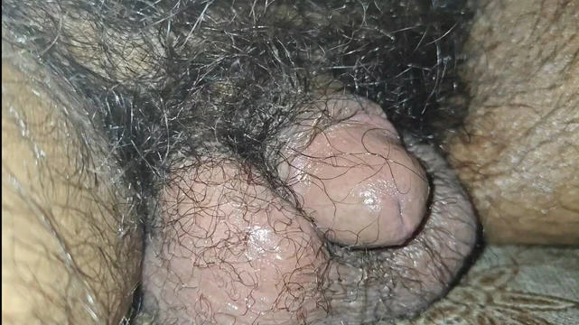 Хуй моей подруги маленький и волосатый