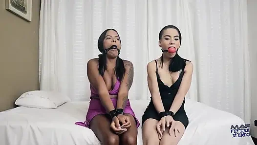 Yakalandı, Bağlandı ve Komuta Edildi