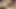 Olgun orta yaşlı seksi kadınlar vahşi grup sekste sert sikiliyor