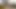 zoe travesti sürtük teşhirci fahişe içinde mikro etek bu onu güzel horoz gizleyemez