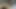 Bağlı charlee kovalamaca orgazm için amcık parmağını sikiyor!