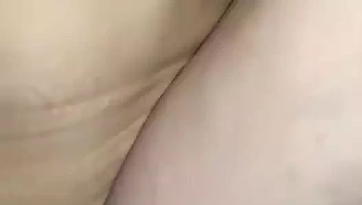 Kedi seviyor the horoz sürgülü içeri ve dışarı