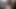 Longhaired fransız milf içinde kedi ve göt