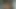 Porno yıldızları biyografilerini anlatıyor