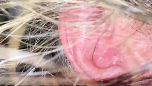 karısı alma sürülmüş içinde onu göt