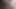 German fat hairy black pussy closeups