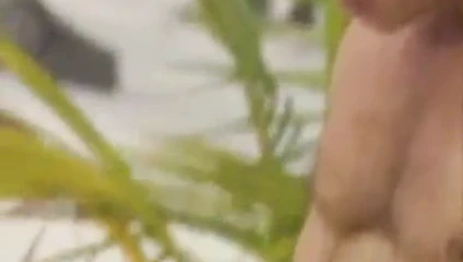 küçük lanet üzerinde bir plaj