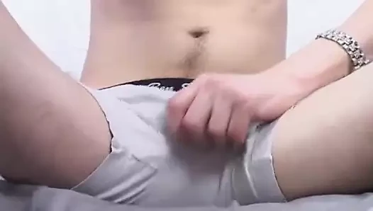 Kırlangıç