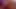 NIGHTCLUB - wie Netflix nur als Porn
