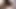 Haydi kedi ile seks oyuncakları oyna