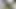 18+ Şişman adamla seks yapılan güzel kız