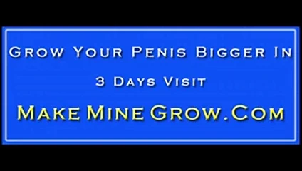 Beyaz horoz için lori siyah kedi