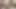 Capri Cavanni salıncakta amıyla oynuyor
