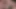 Azgın hatun şanslı delikanlıya bolca oral zevk veriyor