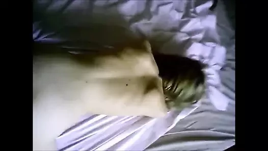 Illinois Chicago seks