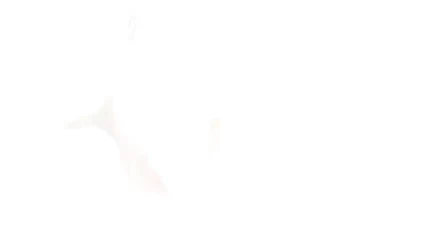 Beautiful onanist babe sticks dildo deep in her asshole