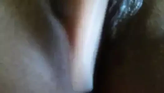 Tüp striptizci kedi oyun