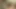 Heteroseksüel twink amatör zincir mastürbasyon yapıyor ve tek başına boşalıyor